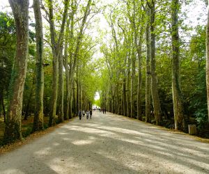 Avenue in Chenonceaux on the Loire