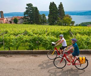 Radfahrer in einem Weingarten am Viverone See