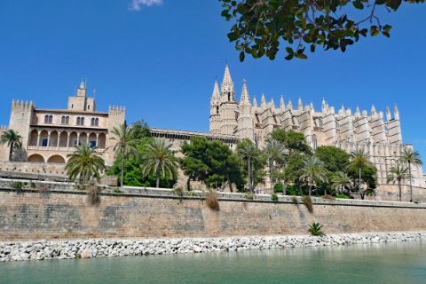 Cathedral of Palma