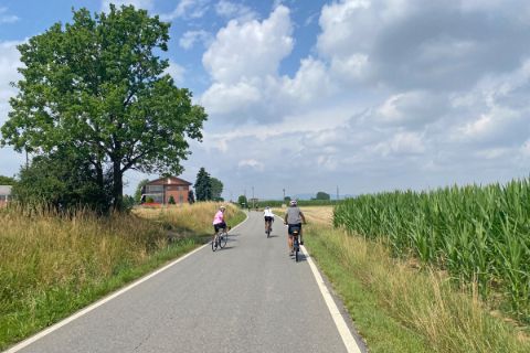 Cycling through the maize field