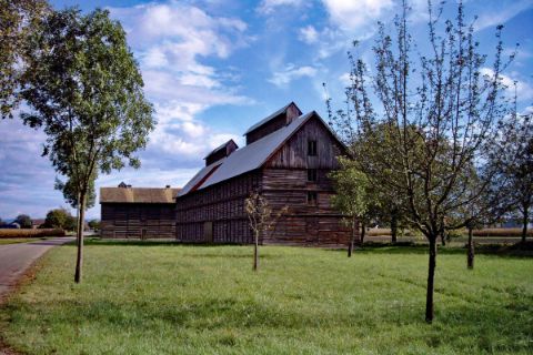Tobacco barn in the Palatinate