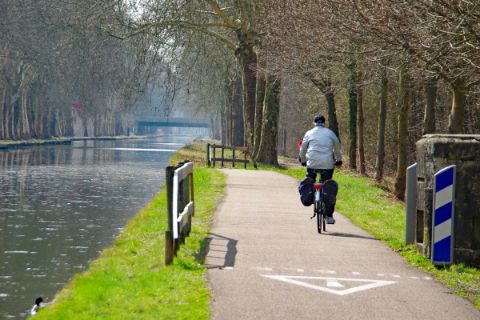 Rhein cycle path