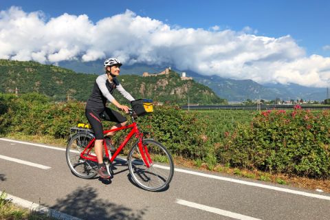 Cyclist on the Adige cycle path