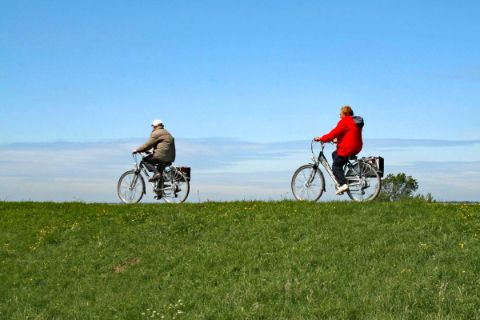 Cyclists in Zeeland 