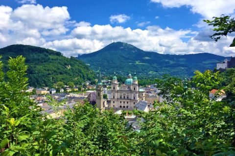 Blick auf Salzburg mit Bäumen im Vordergrund 